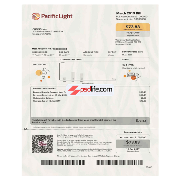 Singapore Pacific Light electricity utility bill template in