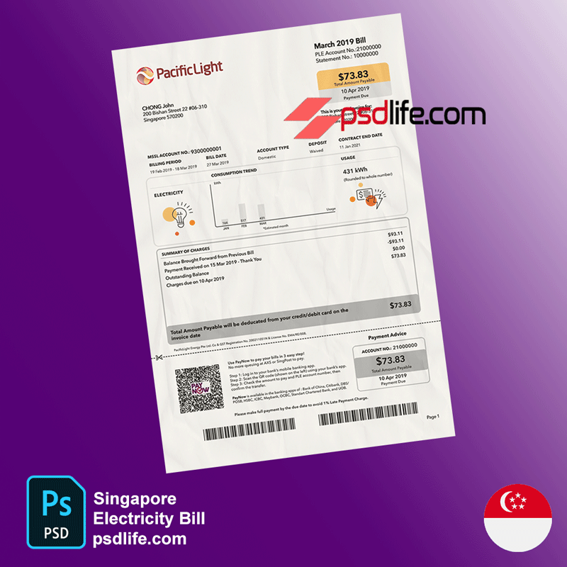 Singapore Pacific Light electricity utility bill template in photoshop