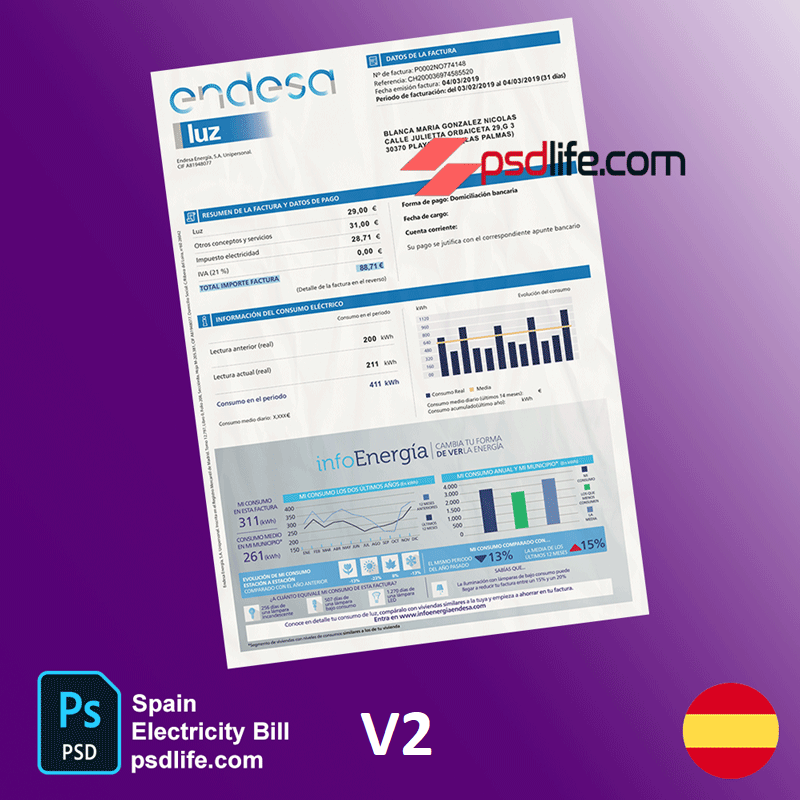 Spain Endesa luz and gasNatural fenosa utility bill psd template