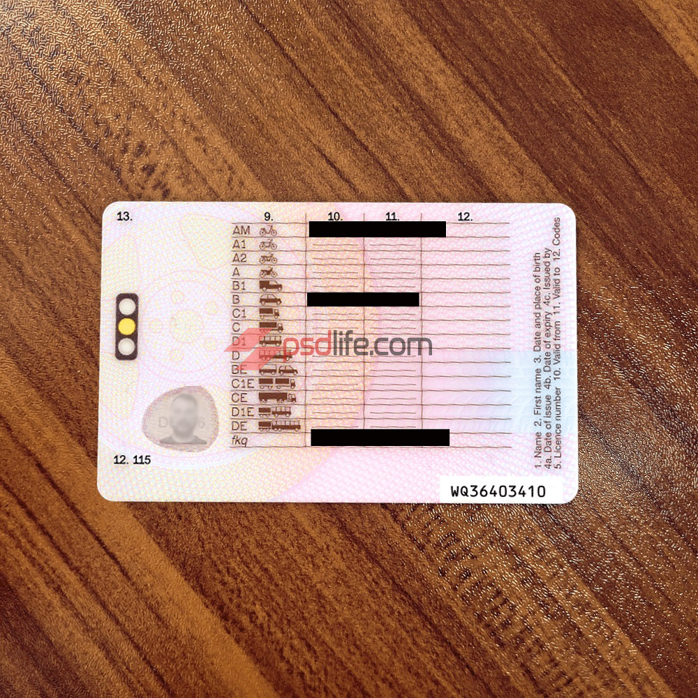 custimize and make id card passport driver licence psd with your information which background