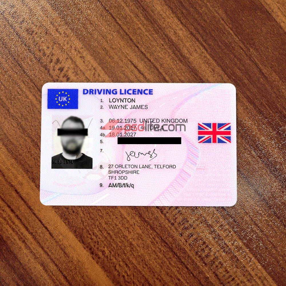 custimize and make id card passport driver licence psd with your information which background