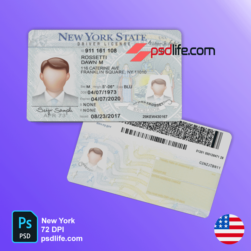 New York driving licence photoshop document template original professional