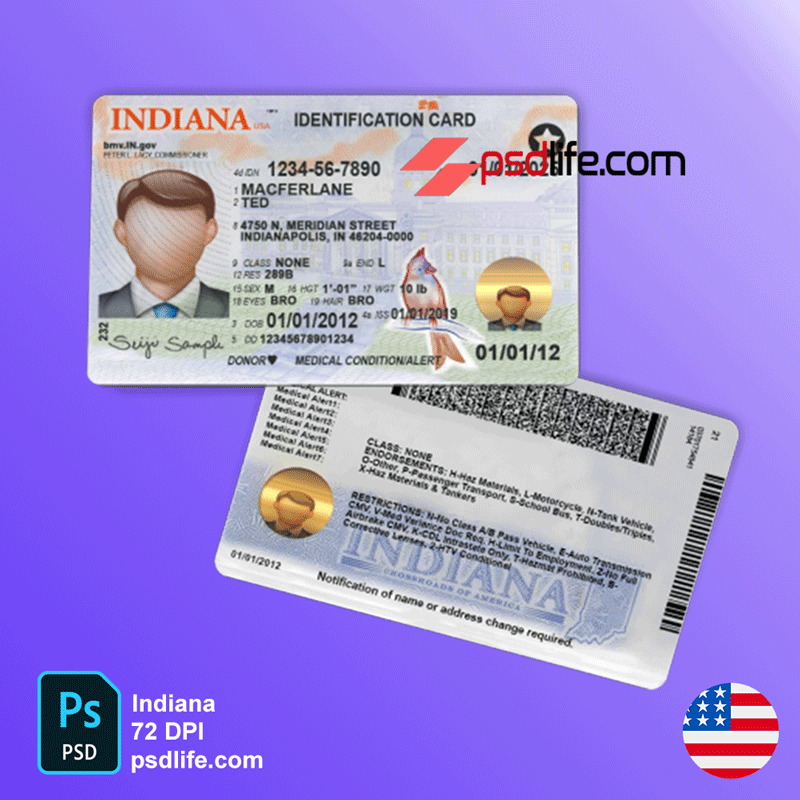 area 51 driving licence psd template