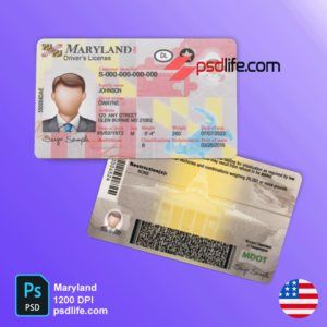 Maryland driving license photoshop document template & traffic rules | fake drivers license template psd free download